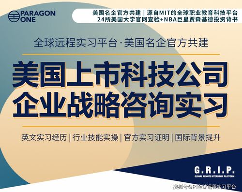 美國上市科技公司的企業(yè)戰(zhàn)略與技術(shù)開發(fā) 遠程實習(xí)的機遇與挑戰(zhàn)